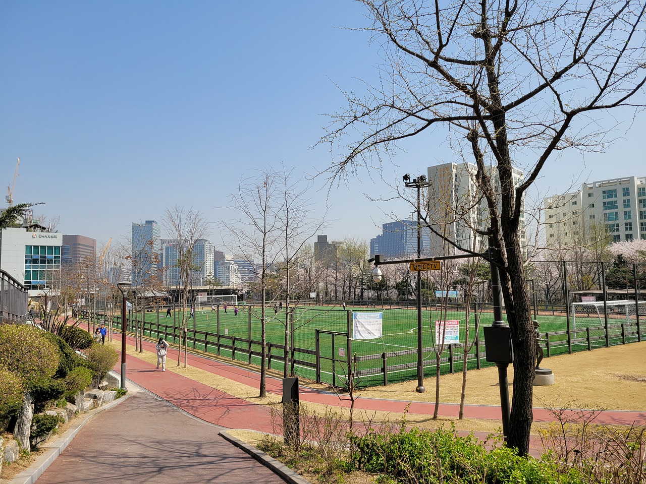 球队逐渐建